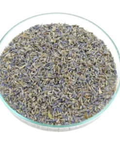 Lavande fleur BIO – Plante en vrac – Herboristerie du Dr. Sammut